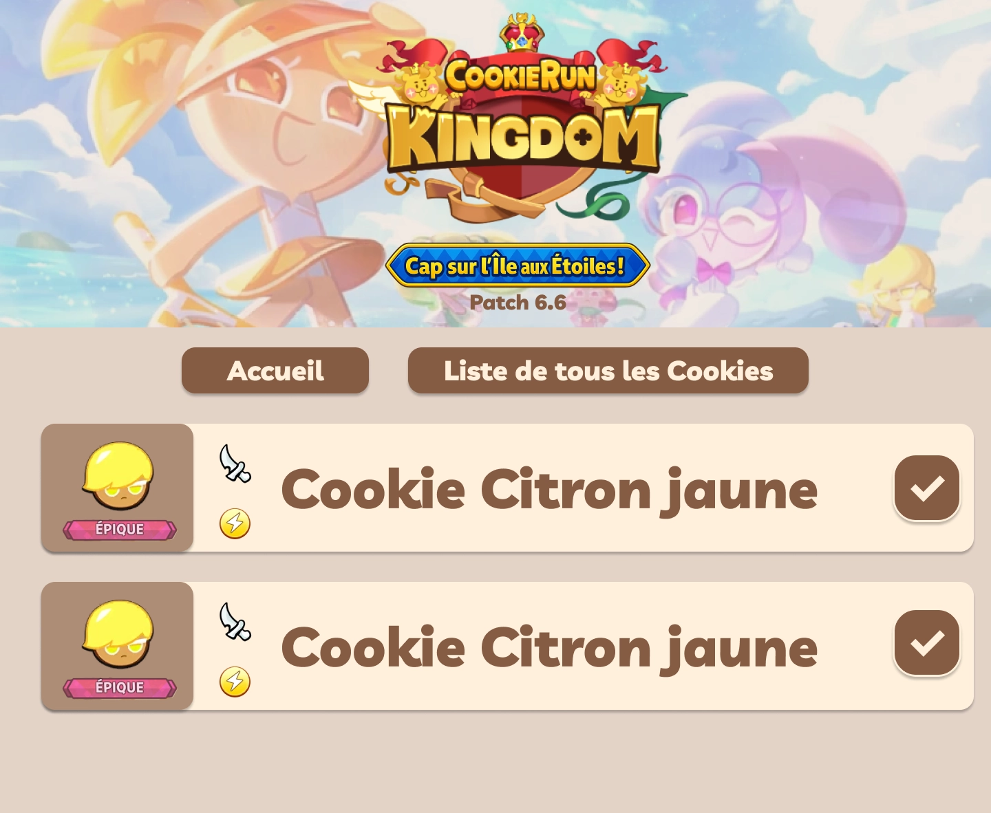 Maquette liste des cookies — Desktop