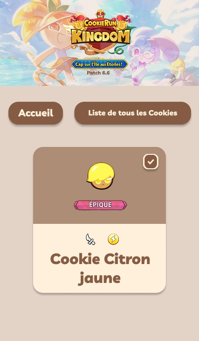 Maquette liste des cookies — Mobile